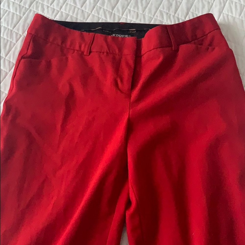 Express Editor Pant - image 1